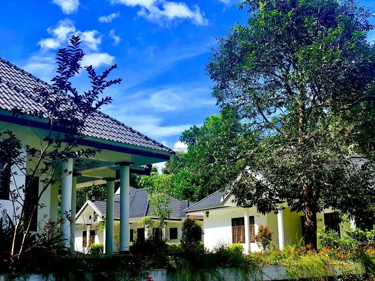 Black Forest Wayanad Bed & Breakfast Batheri