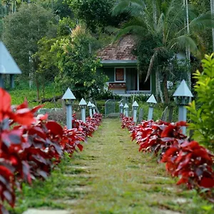 Resort Ayurnest Pool Wayanad, Batheri